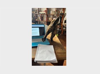 Roomgo AR - Habitación privada con balcón y mucha luz natural, Buenos Aires - AR$ 400.000 pm