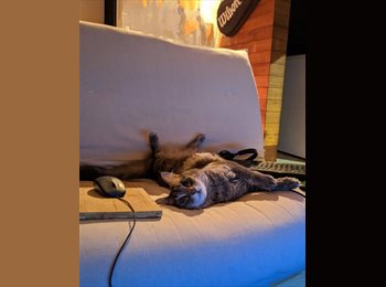 Roomgo AR - Jazmin Lara  - 35 - Buenos Aires