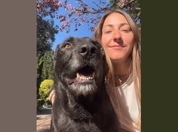 Roomgo AR - Aldana - 30 - Mar del Plata