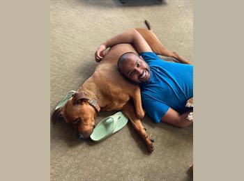 Roomgo AU - Amit - 37 - Sydney