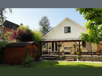 Appartager BE - 1 chambre en colocation dans villa, Profondeville - 400 € pm