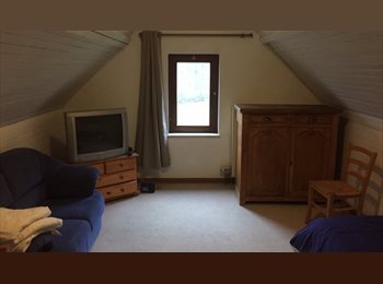 Appartager BE - Belle Chambre à louer, Wavre - 365 € pm