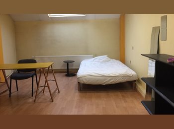 Appartager BE - la maison bruxelloise, ambiance conviviale, Etterbeek - 550 € pm