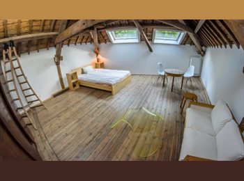 Appartager BE - Havre des Pèlerins: très belle chambre sous combles, Charleroi - 542 € pm
