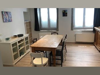 Appartager BE - Centre-ville : chambre double dans maison renovée, Schaerbeek Schaarbeek - 550 € pm