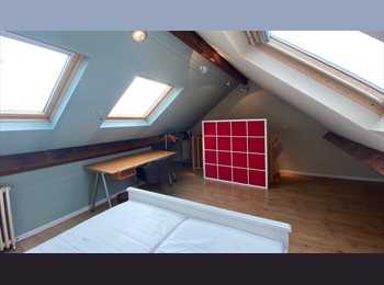 Appartager BE - studio/duplex au dernier étage de maison bruxelloise, Schaerbeek Schaarbeek - 600 € pm