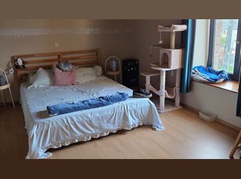 Appartager BE - Chambre a louer en grand maison, Vaux-sur-Sûre - 500 € pm
