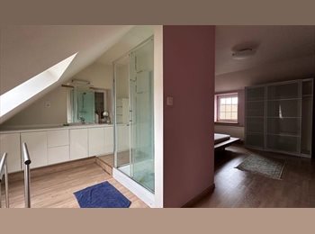 Appartager BE -  3 Chambres à louer avec sdb privee (colocation) – Ligne (7812), Bigaude - 450 € pm