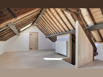 Appartager BE - Colocation haut confort – Denée (région namuroise) - 1e occupation après rénovation totale, Mettet - 420 € pm
