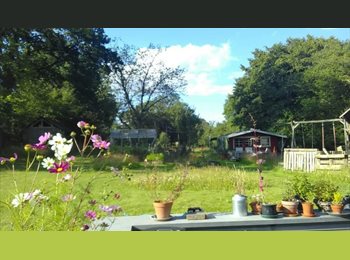 Appartager BE - COLOCATION dans Habitat groupé en Gaume, Tintigny - 480 € pm