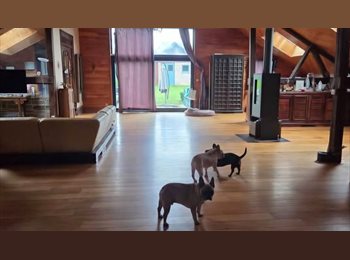 Appartager BE - Chambre dans GrandeChambre à louer à Libramont-Laneuville. Chambre spacieuse dans une maison de 400 , Vaux-sur-Sûre - 500 € pm