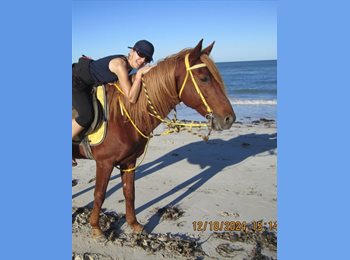 Appartager BE - Ness - 49 - Bruxelles