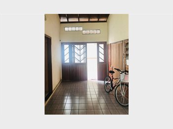 Roomgo BR - Quartos para Moças, Florianópolis - R$ 730 Por mês