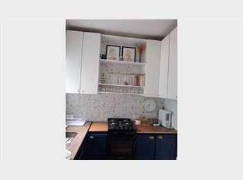 Roomgo BR - Aluga - se suite individual no Campo Belo, Campo Belo - R$ 3.000 Por mês