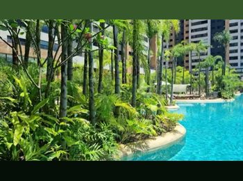 Roomgo BR - Quarto individual em apê no centro, São Paulo SP - R$ 2.750 Por mês