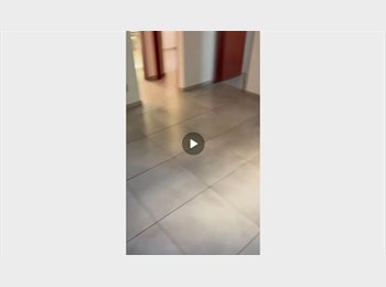 Roomgo BR - Alugo quarto no Colégio Batista, 600m da Oiapoque, Belo Horizonte - R$ 1.000 Por mês