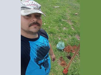 Roomgo BR - David  - 37 - Santo Amaro