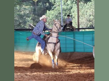 Roomgo BR - Felipe - 36 - Liberdade