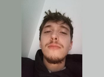 Roomgo BR - DAVI - 25 - São Bernardo do Campo