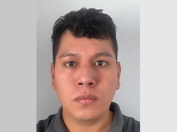 Roomgo BR - Paulo Nunez - 27 - Belo Horizonte