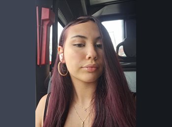 Roomgo BR - Evelyn Gabriela Lima da Costa  - 18 - São Paulo SP