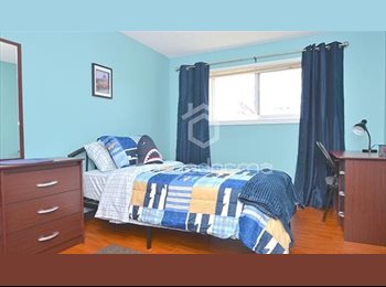 Roomgo CA - Excellent for students.Single room with a meal plan, Toronto - $1,100 pcm