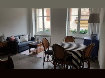Roomgo CH - Neuchâtel CENTRE VILLE Bel appartement 1 pce meublé, Neuchâtel - 1 350 CHF / Mois