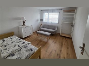 Roomgo CH - j'ai une chambre à louer, dans mon 4 p de 143 m carré, Fribourg - 600 CHF / Mois