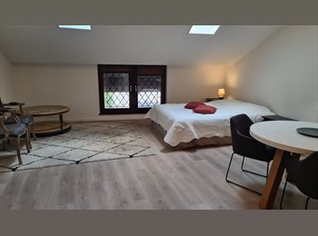 Roomgo CH - Location d'un studio avec cuisine, Genève - 1 200 CHF / Mois