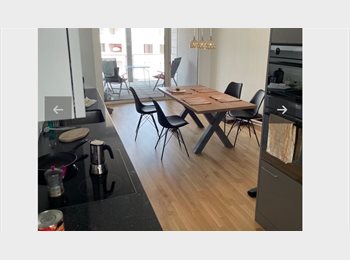 Roomgo CH - Mitbewohner für Dachgeschosswohnung in den Wolken von Kriens, Lucerne / Luzern - 1 300 CHF / Mois