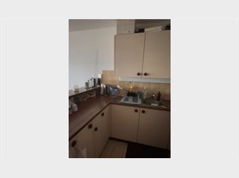 Roomgo CH - Chambre lumineuse dans un belle appartement avec vu sur le Lac Léman, Morges - 880 CHF / Mois