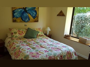 CompartoDepto CL - Arriendo habitación UDEC chillan, Chillán - CH$310.000 por mes