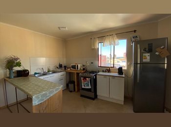 CompartoDepto CL - Busco Roomie/arriendo Plan Valparaíso vista al mar, Valparaíso - CH$280.000 por mes