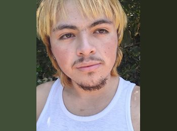 CompartoDepto CL - Brayan - 18 - Talca