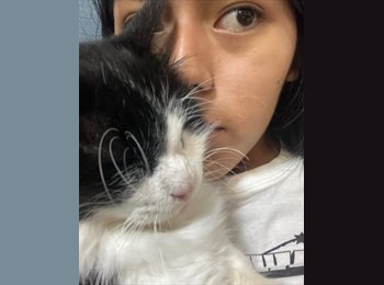 CompartoDepto CL - Nayra - 19 - Ñuñoa