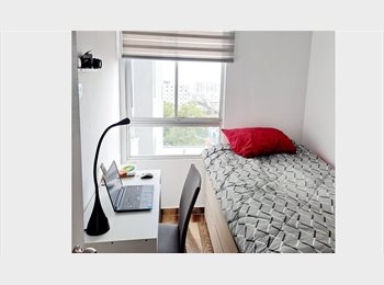 CompartoApto CO - Alquilo habitación para dama, Manizales - COP$ 700.000 por mes
