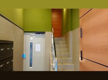 Roomgo ES - Chica estudiante busca 3 compañeras, Zaragoza - 300 € por mes
