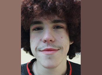 Roomgo ES - Alberto Polo Pérez  - 18 - Granada