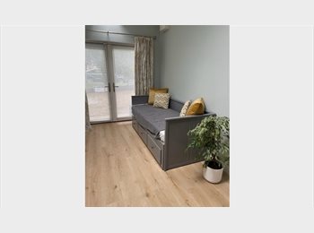 Roomgo IE - ROOM EN -SUITE, Dublin - €950 pcm