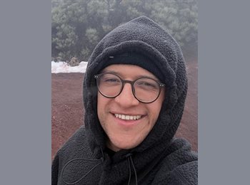 Roomgo IE - Tomas - 28 - Dublin