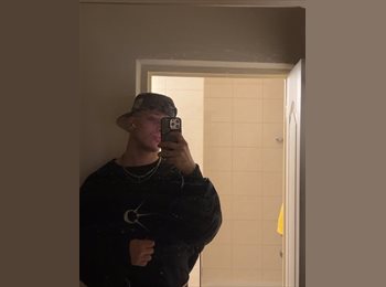 Roomgo IE - Vojtěch Vojtěch - 21 - Dublin