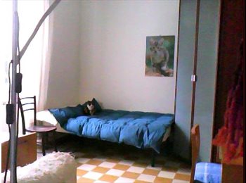 Roomgo IT - In villino d'epoca stanza per amanti animali! , S.Giovanni - Appia Nuova - 500 € al mese