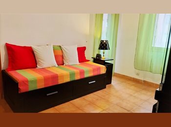 Roomgo IT - DA GENNAIO 2026 - A 180 METRI DA MM2 VERDE CIMIANO-PALMANOVA / 180 METERS FROM GREEN SUBWAY CIMI, Pta Venezia - Citta Studi - Lambrate - 800 € al mese