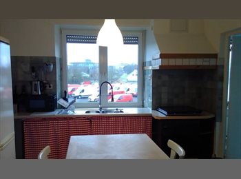 Appartager LU - Studio a louer a Hollerich/cessange All-inclusive, Luxembourg - 1.100 € / Mois