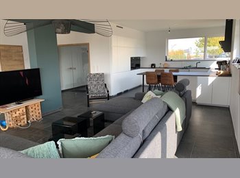 Appartager LU - Chambres privatives, Capellen - 730 € / Mois
