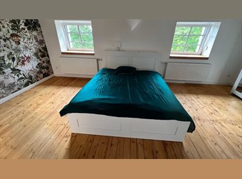 Appartager LU - MONT11A-21- Nice finished room with private bath available from MARCH 1, 2026 - NO AGENC FEE, Luxembourg Ville - 1.250 € / Mois