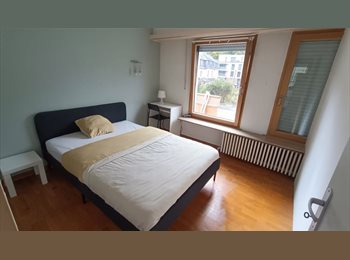 Appartager LU - MUH97-01 Nice furnished room close to Limpersberg available from MARCH 2026- NO AGENCY FEE, Luxembourg - 1.100 € / Mois