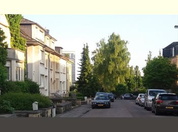Appartager LU - Large room in Limperstberg/ Small houseshare (Quiet & Clean), Luxembourg - 1.000 € / Mois