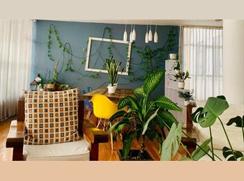 Roomgo MX - ¿List@ para vivir en un depa de super vibes en el corazón de Polanco?, Miguel Hidalgo - MX$14,000 por mes