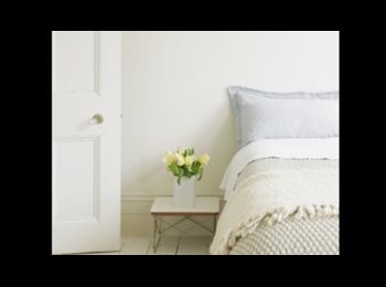 Roomgo MX - San Ángel: Amplia Habitación en Renta, Ambiente Seguro y Confiable, Alvaro Obregón - MX$8,000 por mes